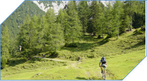 Weg zum Dirstentrittkreuz